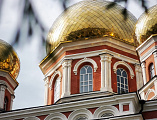 Преосвященнейший епископ Симон сослужил митрополиту Саратовскому и Вольскому Игнатию в день 10-летия его архиерейской хиротонии