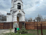 С началом весны на храмовом подворье в честь иконы Божией Матери «Взыскание погибших» поселка Сидорово-Кадамовский началось озеленение территории