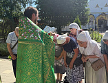 В храме Иоанна Предтечи станицы Боковской отметили День семьи, любви и верности