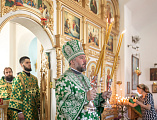 В престольный день Преосвященнейший епископ Симон совершил Божественную литургию в храме Святой Троицы хутора Ягодинка