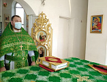 В Свято-Троицком храме х. Ягодинка Нижнедонского благочиния отметили престольный праздник
