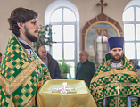 В престольный день Преосвященнейший епископ Симон совершил Божественную литургию в храме святого благоверного князя Александра Невского города Шахты