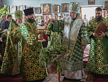 В праздник Входа Господня в Иерусалим епископ Симон совершил богослужение в храме Вознесения Господня города Шахты