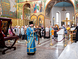 Крестный ход с Донской иконой Божией Матери посетил храмы Шахтинской епархии