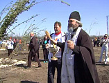 В г. Гуково посадили «Алмазную рощу»