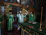 В День Святого Духа В Покровском кафедральном соборе г. Шахты состоялось праздничное богослужение архиерейским чином