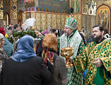 В праздник Входа Господня в Иерусалим епископ Симон совершил богослужение в Покровском кафедральном соборе города Шахты