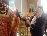 Благодатный огонь доставили в Донецк