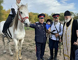 «Посажение на коня» в конноспортивном клубе «Святая Русь»