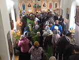 Прихожане Троицкого храма архиерейского подворья хутора Ягодинка получили в дар пальмовые ветви