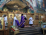Преосвященнейший епископ Симон, духовенство Покровского собора и тысячи верующих молитвенно отметили праздник Крещения Господня в главном храме Шахтинской епархии
