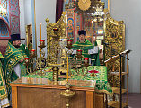 Святыня земли Донской: в Каменске-Шахтинском торжественно встретили мощи праведного Павла Таганрогского