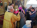 В Свято-Андреевском храме г. Миллерово молитвенно отметили Крещение Господне