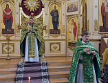 Святыня земли Донской: в Каменске-Шахтинском торжественно встретили мощи праведного Павла Таганрогского