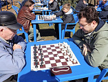 В Смоленском храме станицы Шумилинская состоялся Открытый областной Пасхальный турнир по быстрым шахматам