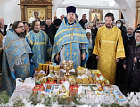 Встреча в День православной молодежи в Донском храме Новошахтинска