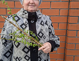 Акция «Вербочка с ЛЮБОВЬЮ» прошла в Новошахтинске