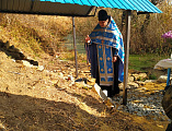 Освящение источника в хуторе Дубовой