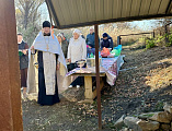 Освящение источника в хуторе Дубовой Боковского района 