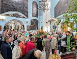 Крестный ход в День Святой Троицы в станице Вешенской