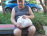 Сотрудничество во имя милосердия