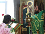 Прихожане Донского храма г. Новошахтинска поздравили протоиерея Романа Амплеева с 19-й годовщиной иерейской хиротонии