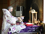 Епископ Симон совершил Божественную литургию и освящение меда в кафедральном соборе Шахтинской епархии
