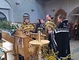 Совместное богослужение священников Новошахтинского благочиния