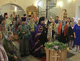 Клирики Ростовской и Шахтинской епархий архиерейским богослужением молитвенно отметили память Донской иконы Божией Матери в г. Новошахтинске