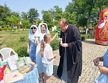 В Новошахтинске прошёл праздник, посвящённый Дню семьи, любви и верности