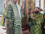 В праздник Входа Господня в Иерусалим епископ Симон совершил богослужение в храме Вознесения Господня города Шахты