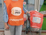 Приход храма святого князя Александра Невского города Шахты принял участие в благотворительной акции «Корзина доброты»