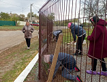 Прихожане храма Архангела Михаила села Первомайского озеленили прилегающую территорию