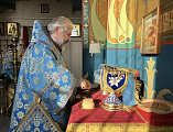 В день памяти святых мучениц Минодоры, Митродоры и Нимфодоры Преосвященнейший епископ Симон совершил Божественную литургию в Покровском кафедральном соборе города Шахты