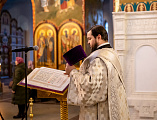 В праздник Собора Пресвятой Богородицы епископ Симон совершил Литургию в Покровском кафедральном соборе города Шахты