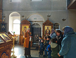 Под Покровом Пресвятой Богородицы