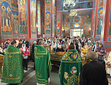 Святыня земли Донской: в Каменске-Шахтинском торжественно встретили мощи праведного Павла Таганрогского