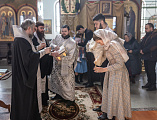 Епископ Шахтинский и Миллеровский Симон совершил таинство Крещения