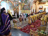 7 лет со дня образования Шахтинской епархии отметили праздничным соборным богослужением в Покровском кафедральном соборе