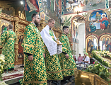 В День Святой Троицы, Пятидесятницы Преосвященнейший епископ Симон совершил Божественную литургию в Покровском кафедральном соборе г. Шахты
