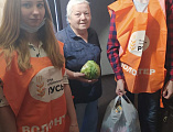 Православные добровольцы Донского храма г. Новошахтинска успешно завершили курс обучения по программе «Куратор добровольческих групп»