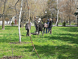 Протоиерей Владимир Иванов принял участие в посадке деревьев в городском Александровском парке вместе с воспитанниками социально-реабилитационного центра детей с ограниченными возможностями «Добродея»
