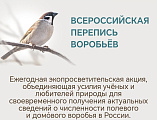 В Нижнедонском благочинии воспитанники воскресных школ принимают участие в экологической акции «Всеросийская перепись воробьёв»