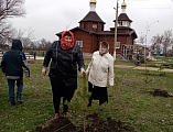 В честь 76-летия Победы в Великой Отечественной войне по благословению иерея Андрея Павленкова была высажена аллея к братской могиле в хут. Красном