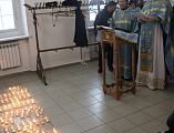 Голуби над храмом Донской иконы Божией Матери