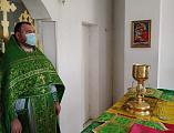В Свято-Троицком храме х. Ягодинка Нижнедонского благочиния отметили престольный праздник