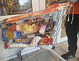 В Новошахтинске прошла акция «Корзина доброты»: собрано 350 кг продуктов для нуждающихся