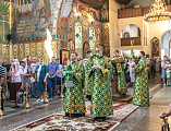 В День Святой Троицы, Пятидесятницы Преосвященнейший епископ Симон совершил Божественную литургию в Покровском кафедральном соборе г. Шахты
