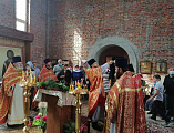 В день памяти святых мучеников Адриана и Наталии духовенство Багаевского благочиния совершило соборное богослужение