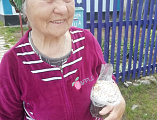 Добровольцы Нижнедонского благочиния оказывают помощь людям, находящимся в режиме самоизоляции